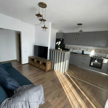 Апартаменты Brancoveanu Apartament Бухарест